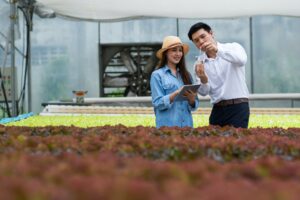 agricultural expert introduce woman hydroponic vegetable farmer checking of water and oxygen