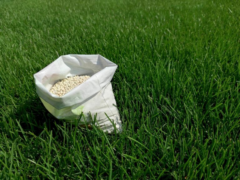 Fertilizer for grass, lawn, meadow in a bag of white granules on green grass.