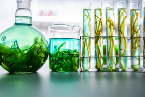 green alga laboratory research, alternative biofuel energy technology, biotechnology concept