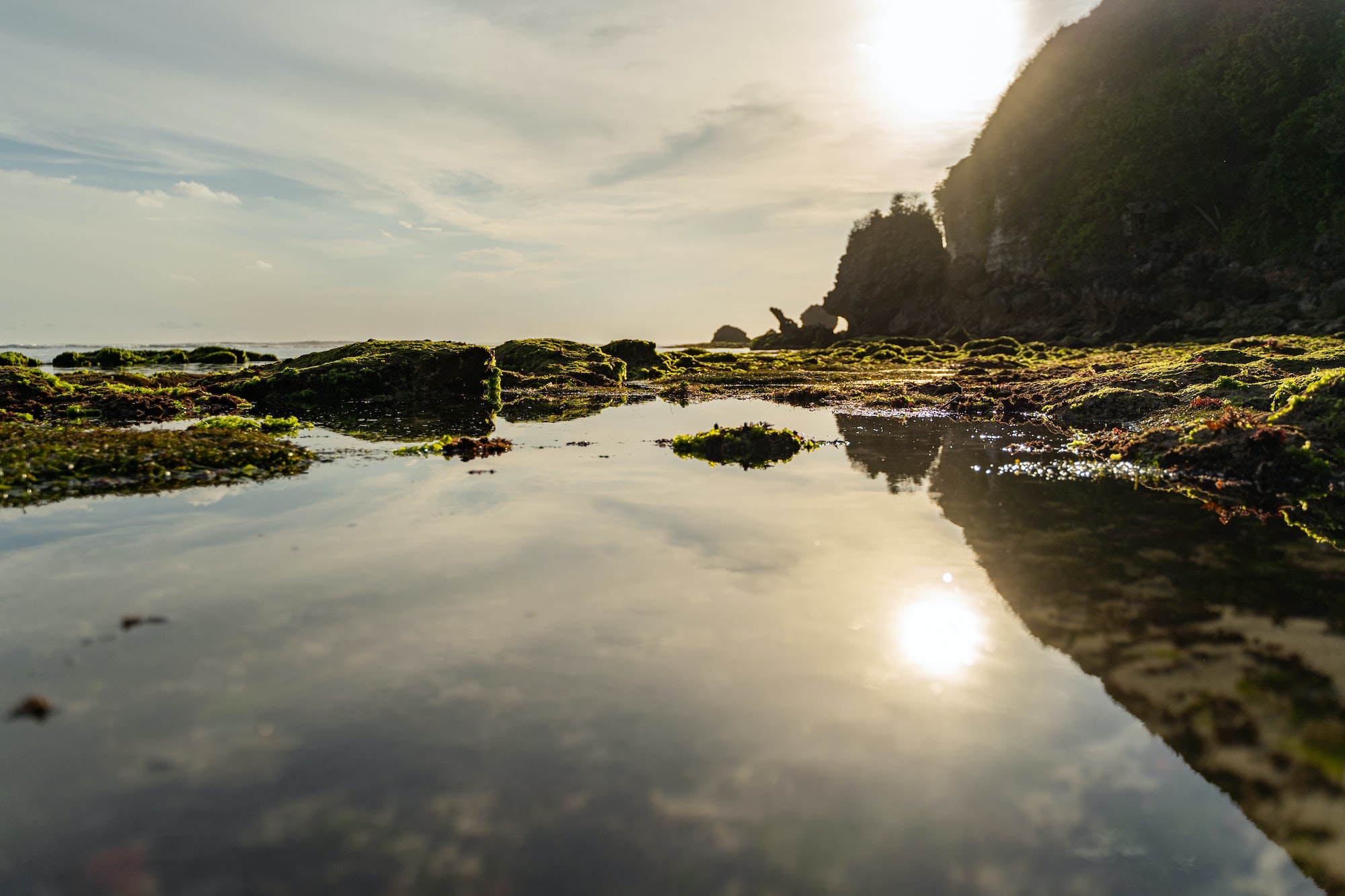 Green alga under ocean surface stock photo