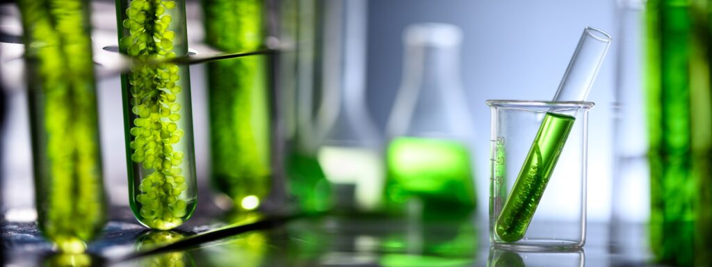Microalgae: A Sustainable Solution for Wastewater Treatment and Biomass ...