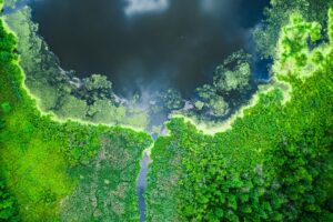 Strange blooming algae on the lake in summer, aerial view