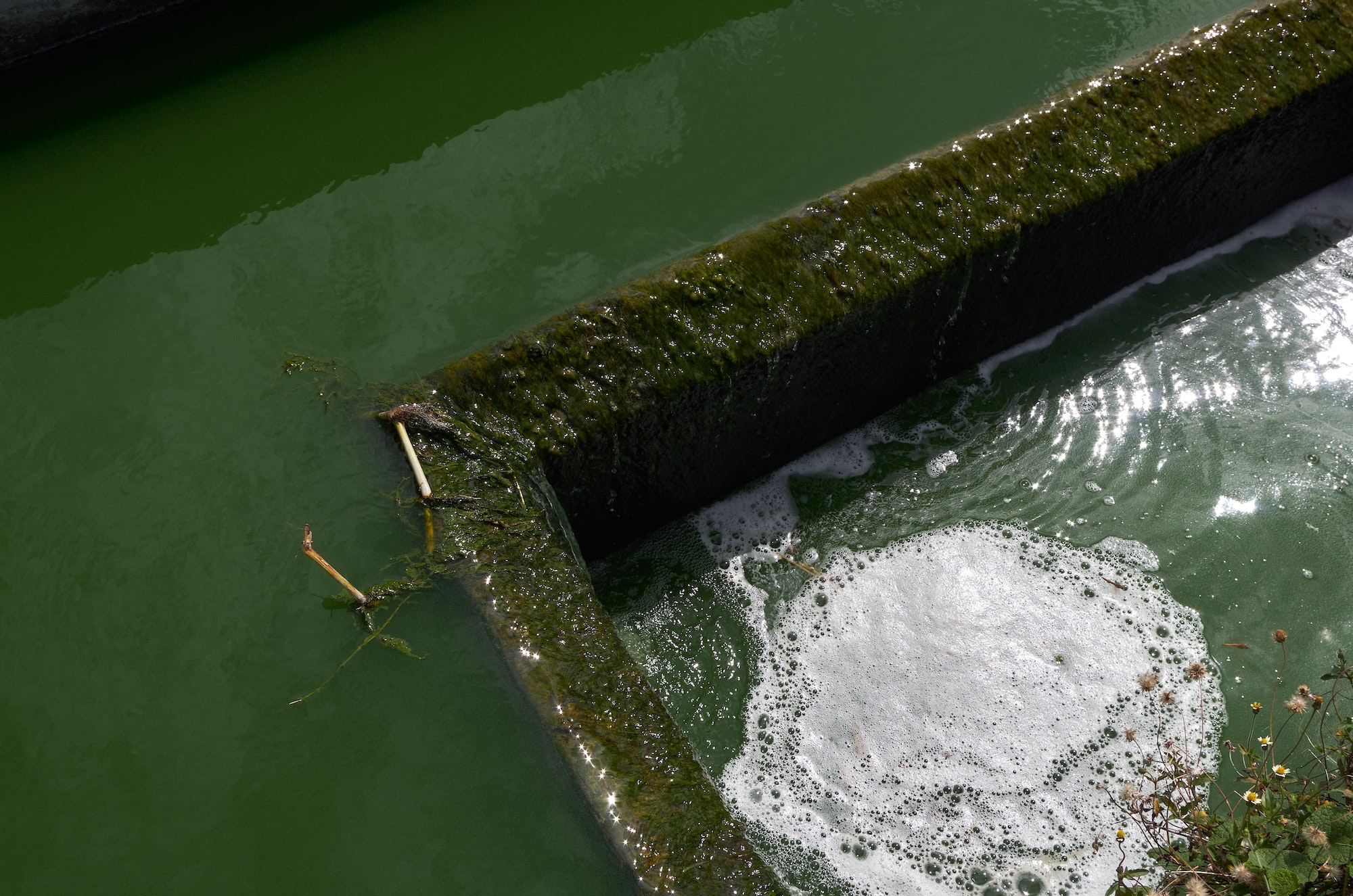 Wastewater flows into the wastewater treatment system